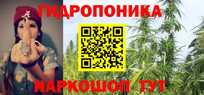 герыч Бердск