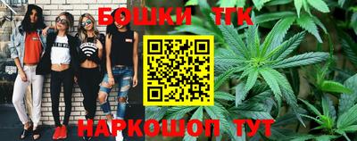 крисы Белореченск